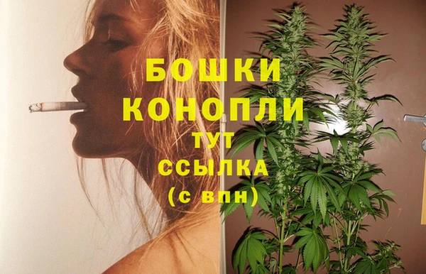 молекула духа Горно-Алтайск